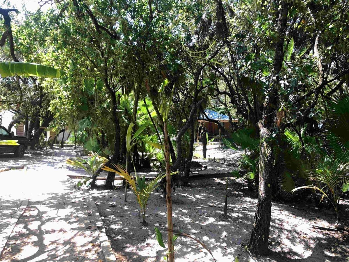 Kin Resort Lodge Maya Beach Esterno foto